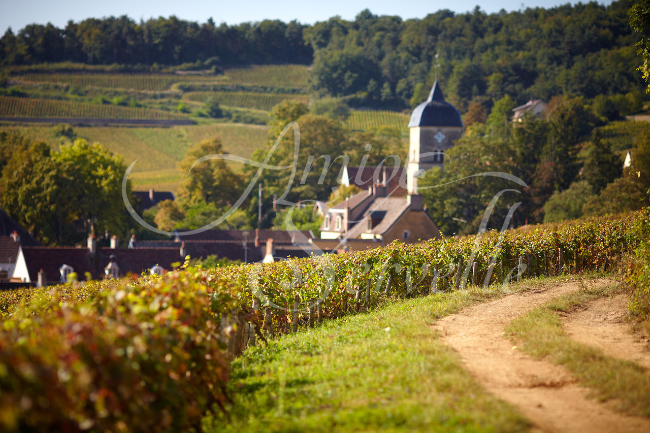 Chambolle-Musigny