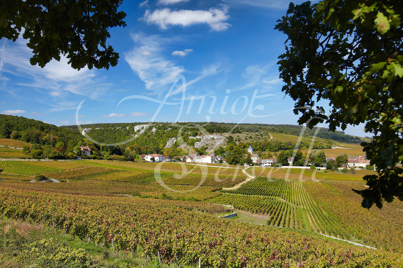 Chambolle-Musigny