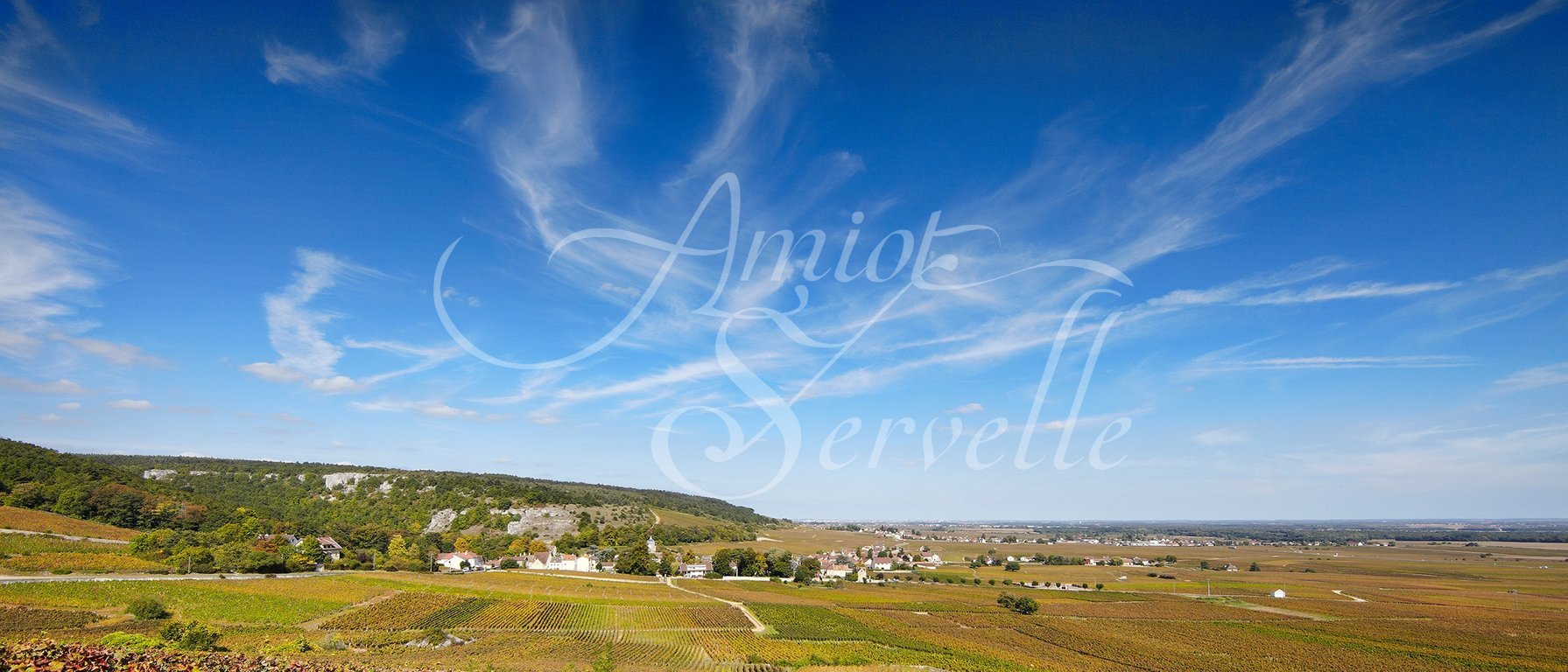 Chambolle-Musigny