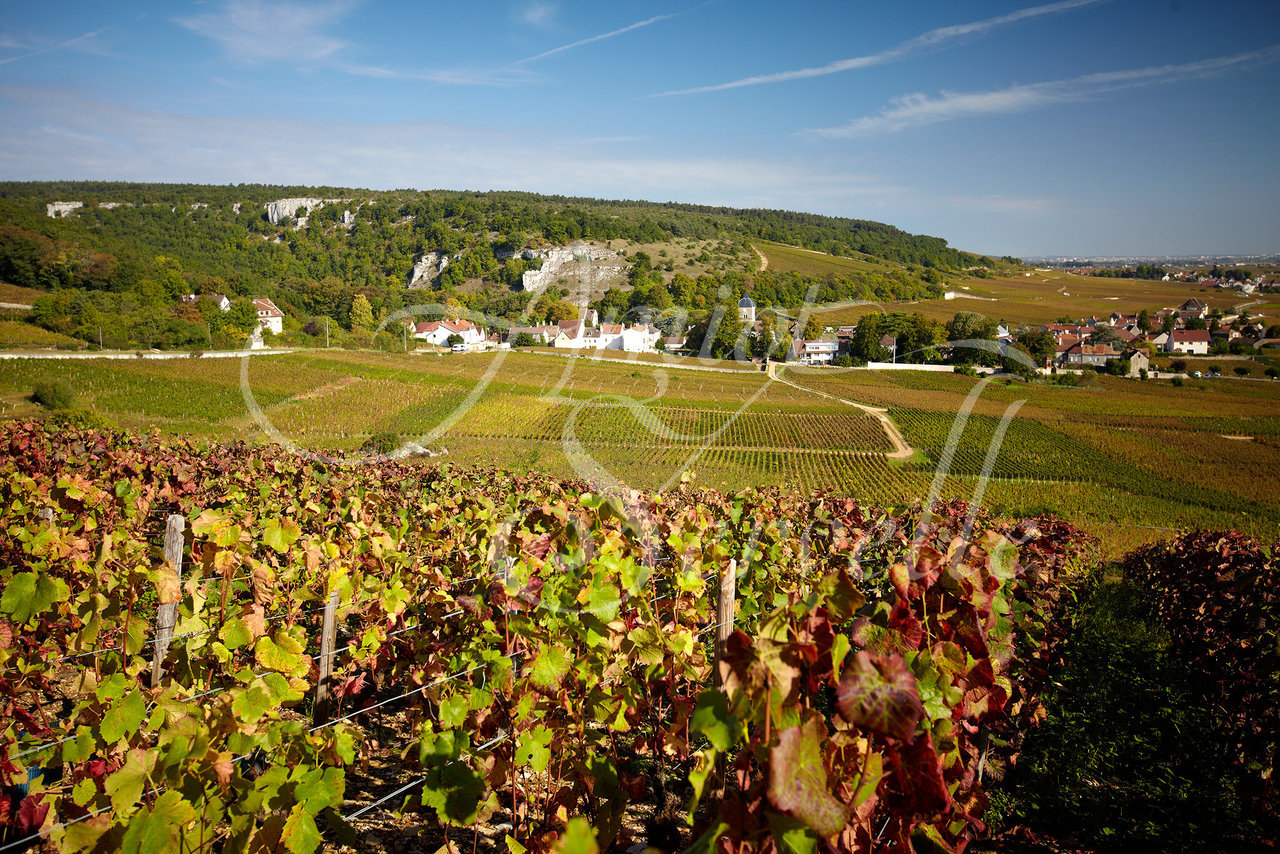 Chambolle-Musigny